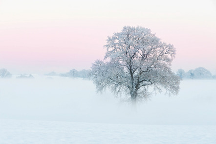 Nachtigall, Kerstin - Kieler Pixelschubser - Nordmark - Baum im Schnee