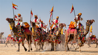 Barbara Schmidt - Parade of camels